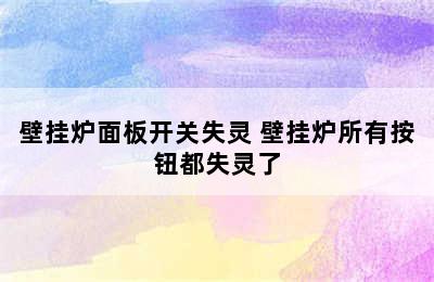 壁挂炉面板开关失灵 壁挂炉所有按钮都失灵了